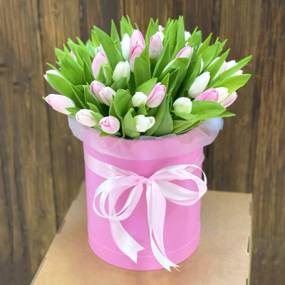 Букет из 51 бело-розового тюльпана в коробке