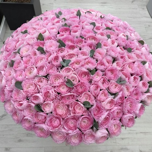 Корзина из 175 розовых ранункулюсов