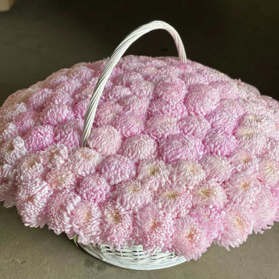 Корзина из 101 розовой крупной хризантемы