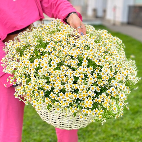Корзинка из полевых ромашек