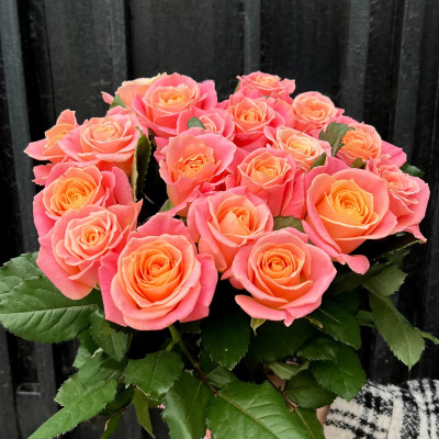 Букет из 19 персиковых роз "Мисс Пигги"