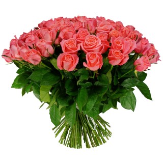 Букет из 75 роз "Анна Карина" (Россия)