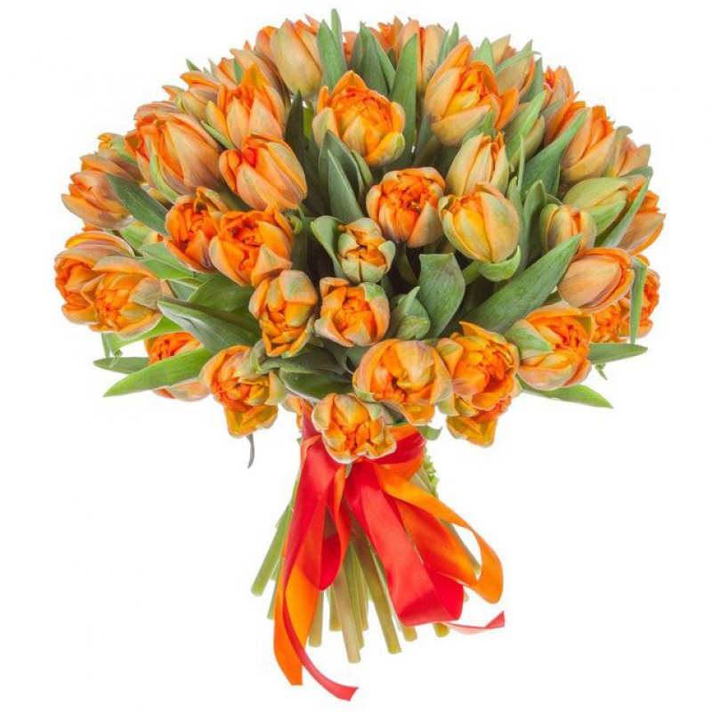 Букет из 49 оранжевых пионовидных тюльпанов