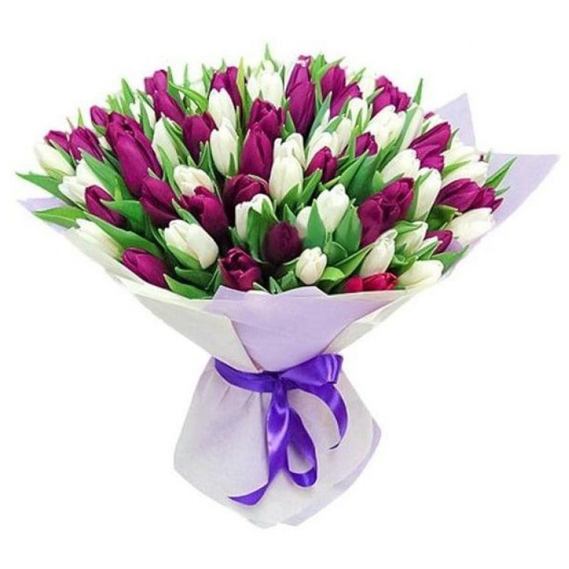 Букет из 101 бело-фиолетового тюльпана