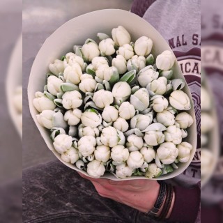 Белые "сахарные" тюльпаны, 49 шт