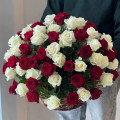 Корзина из 75 бело-красных роз