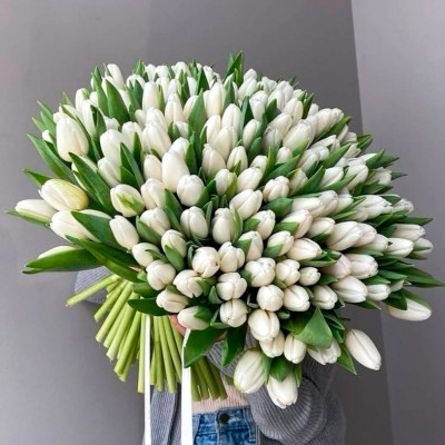 Букет из 201 белого тюльпана