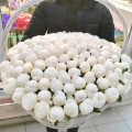 Корзина " White rose" из 201 белого пиона