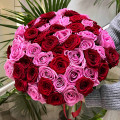 Букет из 55 красно-розовых роз