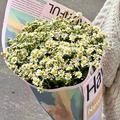 Букет из 15 полевых ромашек
