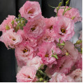 Букет из 9 розовых махровых эустом
