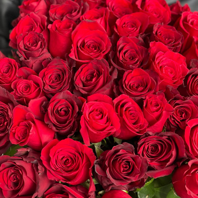 Букет из 25 красных роз "Фридом" (Эквадор)