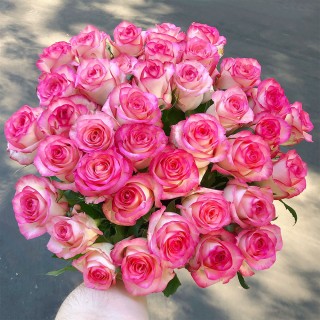 Букет из 39 роз "Джамиля" (Россия)