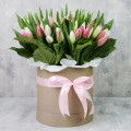 Букет из 101 бело-розового тюльпана в коробке