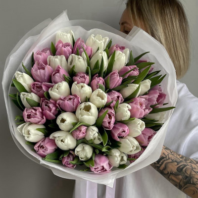 Букет из 49 бело-розовых тюльпанов