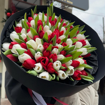 Букет из 51 бело-красного тюльпана