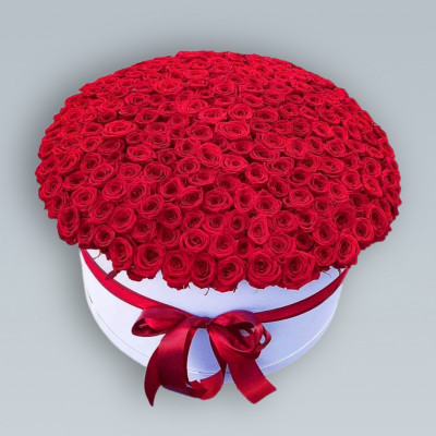 Коробка из 251 розы "Рэд Наоми"