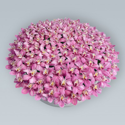 Коробка из 101 ярко-розовой орхидеи