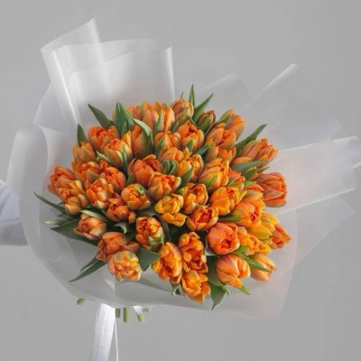Букет из 51 оранжевого пионовидного тюльпана